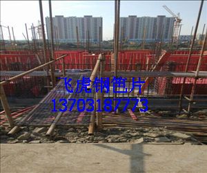 钢笆片建筑脚手架安全施工必备新产品-03