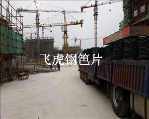 钢笆片被政府及媒体评为最安全的高性能脚手板产品-02