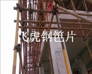 建筑用钢笆片被媒体称为空中美丽防火墙-03