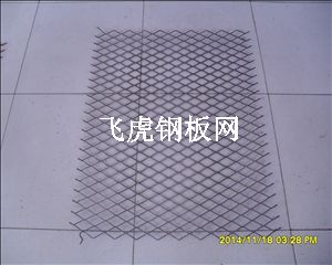 建筑用钢笆片被媒体称为空中美丽防火墙-02