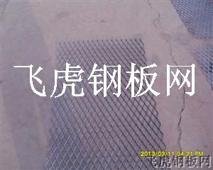 海盐首选优质菱形孔钢板网厂家-03