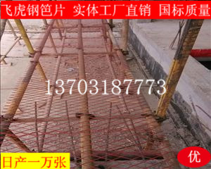 建筑钢笆片有绝对优势代替传统的竹笆片-03