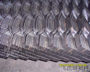 龟甲形扩张网－０３