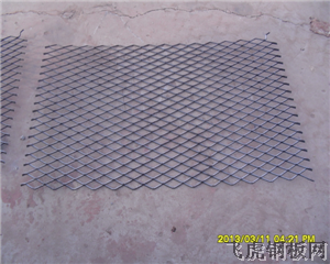 真<a href='http://www.fhgangbanwang.com'>钢笆片</a>－０１